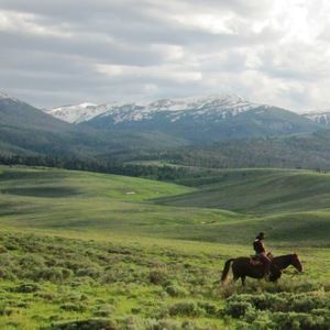 Meet your Posher, Marguerite